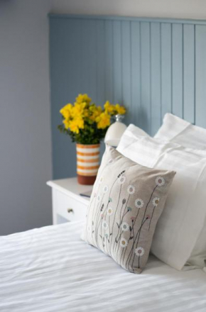 Ty Ffynnon B&B